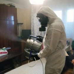Дезинфекция от клопов в Луге