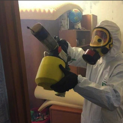 Уничтожение клопов в квартире. Луга